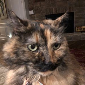 Meet your Posher, Jody